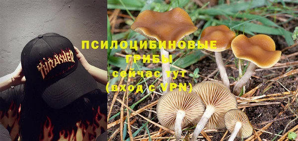 кокаин колумбия Богданович