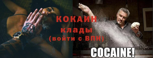 шишки Богородск