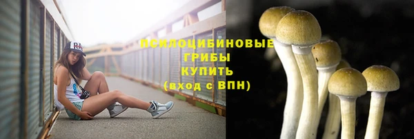 кокаин колумбия Богданович