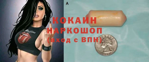 шишки Богородск