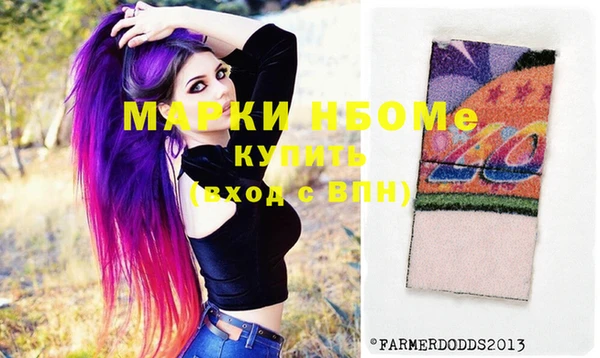шишки Богородск