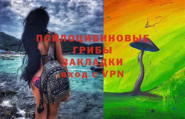 шишки Богородск