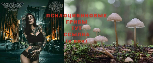 первитин Богородицк