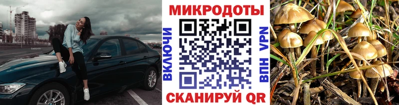 Псилоцибиновые грибы ЛСД  Купить закладки  Дедовск 